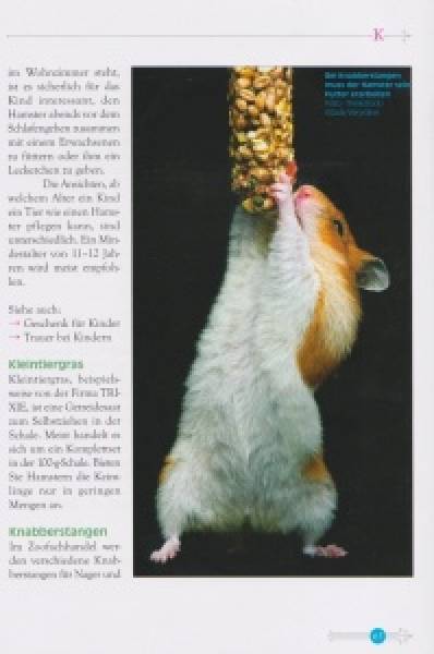 Das kleine Hamsterlexikon